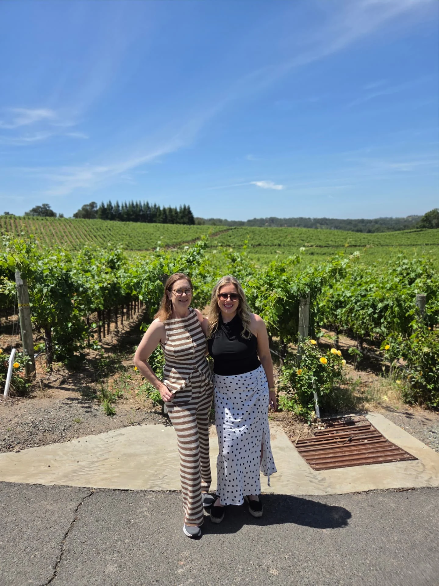 Two women standing beside vineyard rows under a blue sky.