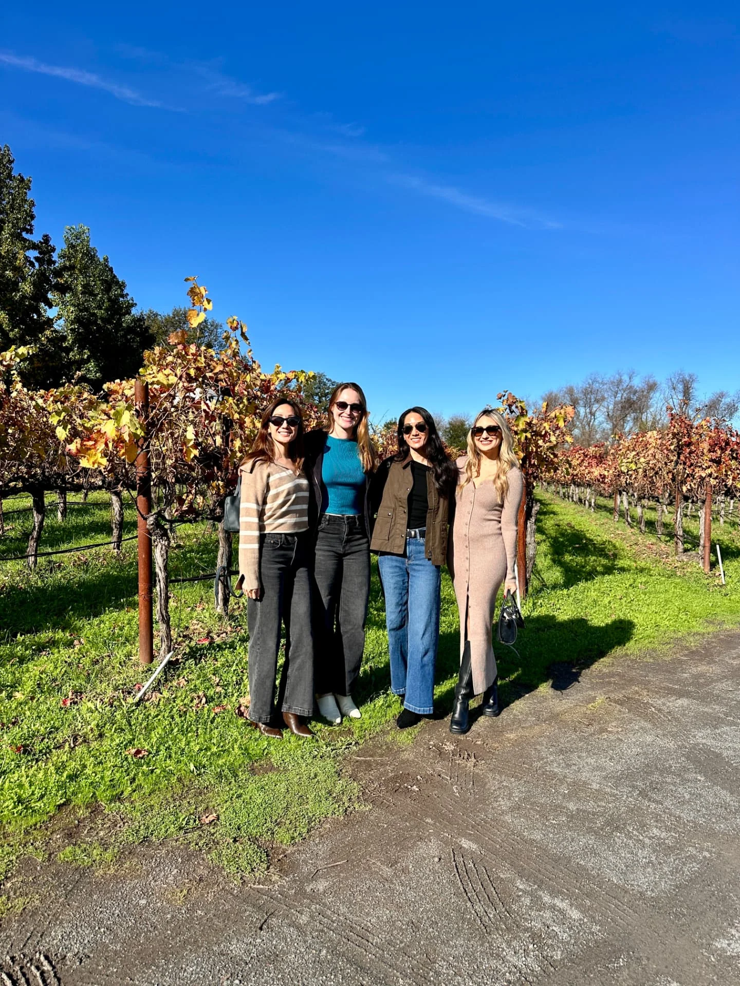 Four women standing among autumn vineyard rows.