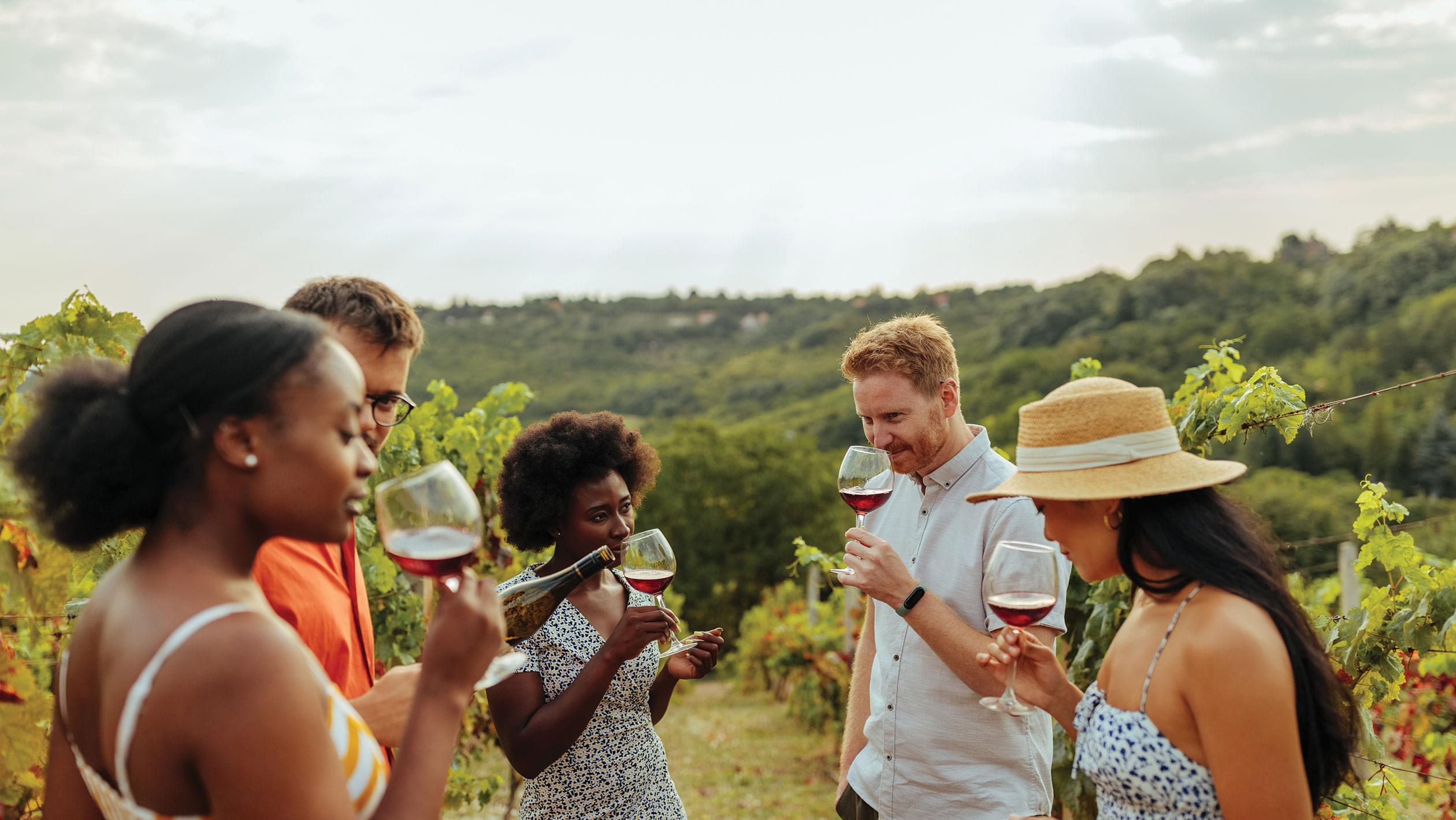 Guests enjoying a private wine tasting experience in a Napa Valley vineyard with rolling hills and golden afternoon light