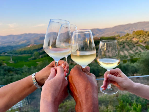Wine tasting experience at a Napa Valley estate winery