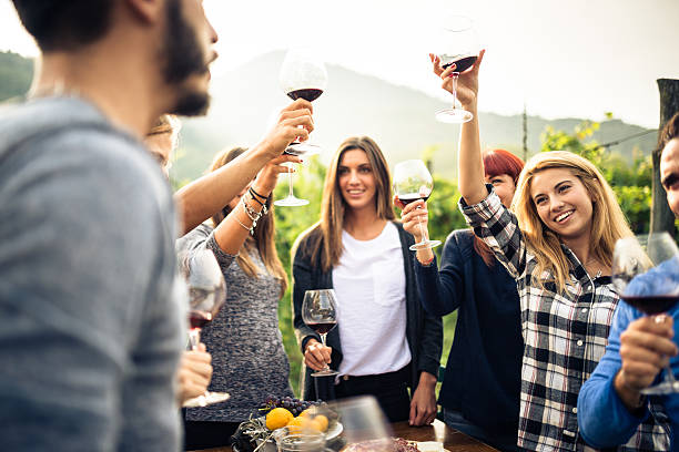 Scenic Napa Valley winery visit with beautiful vineyard views