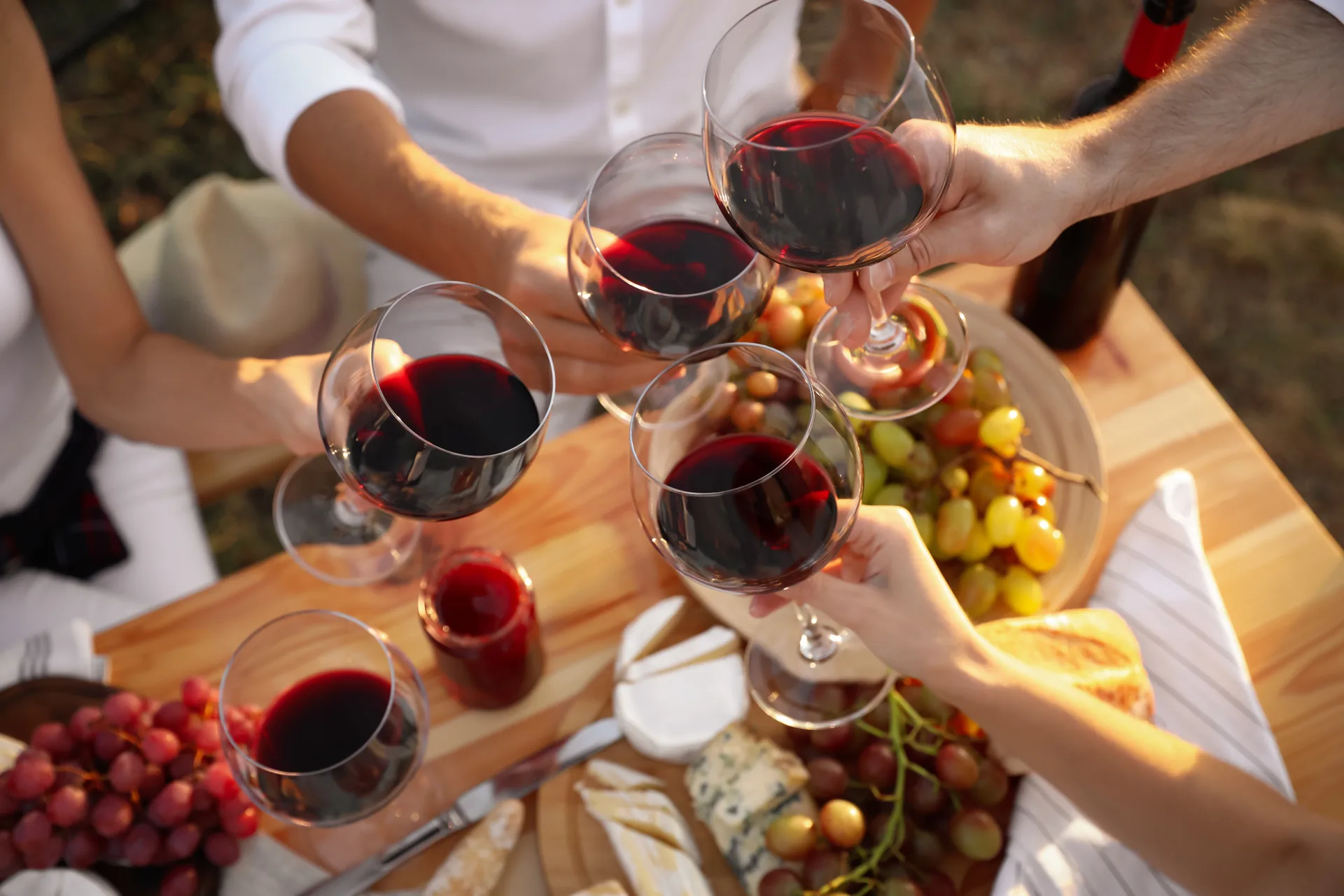 Friends toasting with wine glasses during elegant wine and cheese tasting experience in Napa Valley with gourmet charcuterie and vineyard ambiance