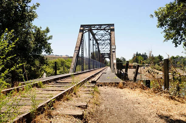 Healdsburg wine region featuring charming downtown and surrounding vineyard landscapes