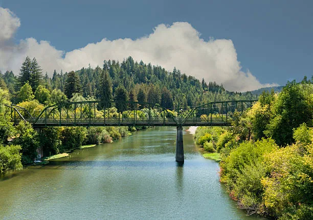 Russian River Valley wine region with redwood forests and cool-climate vineyards